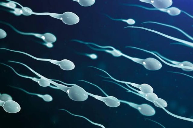 Sie für Spermaspiele gesucht!