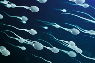 Sie für Spermaspiele gesucht!